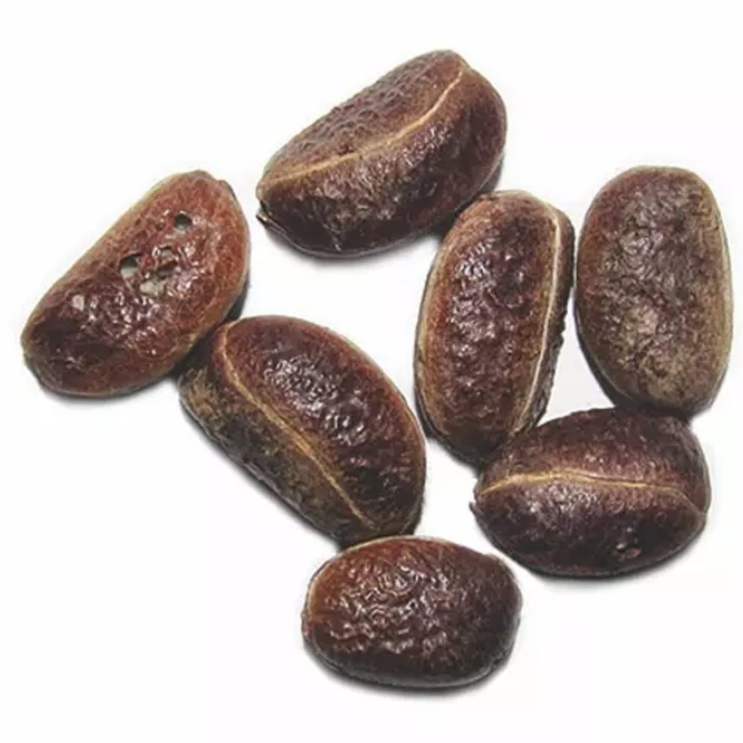 Drilled Diospyros Melanoxylon, Brown Seeds ( With Holes )