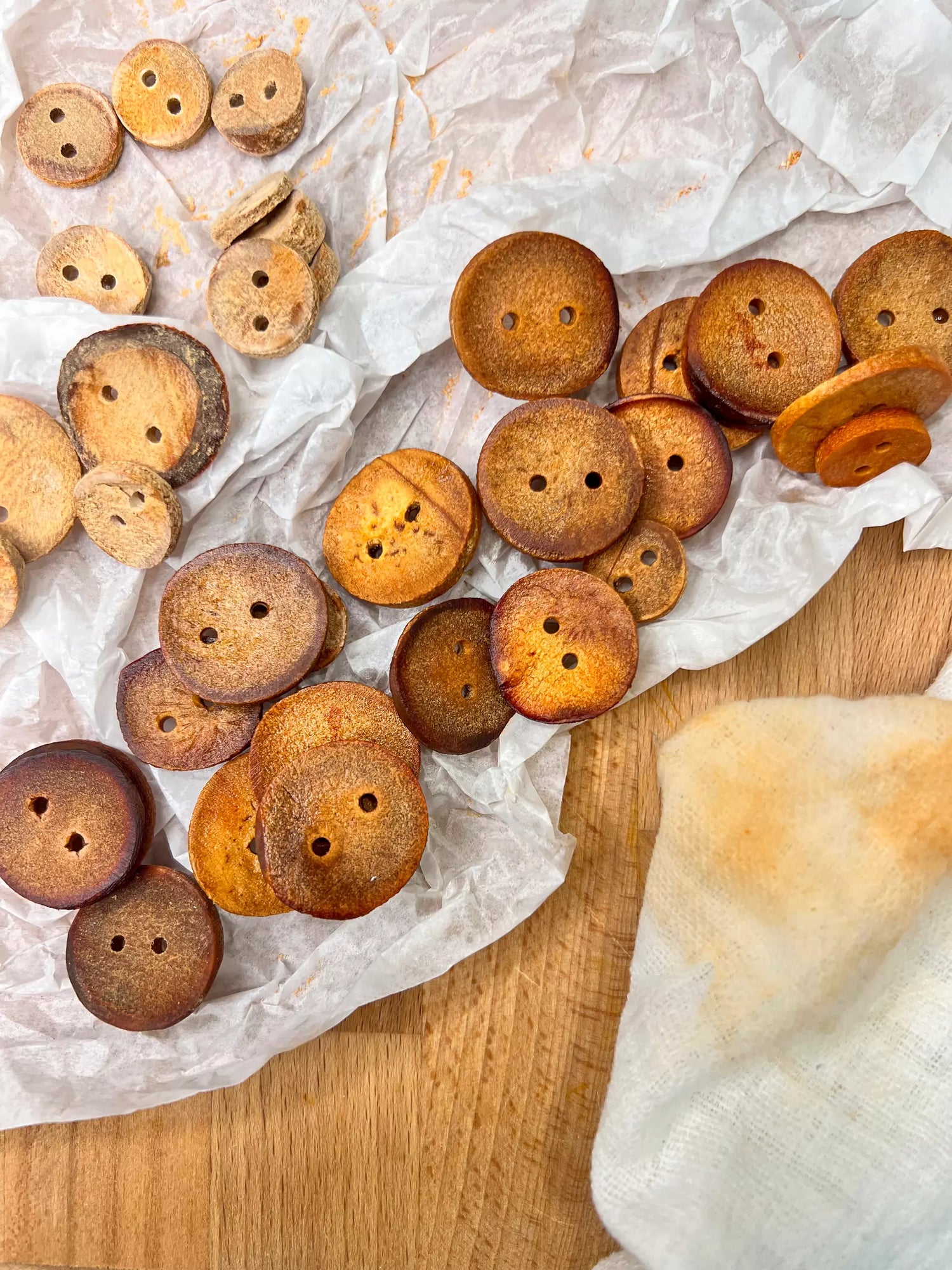 Botanical Seeds Buttons For  Clothes & Crafts