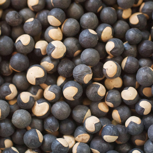 Cardiospermum Halicacabum Seeds, For Jewelry ( Natural Colour )