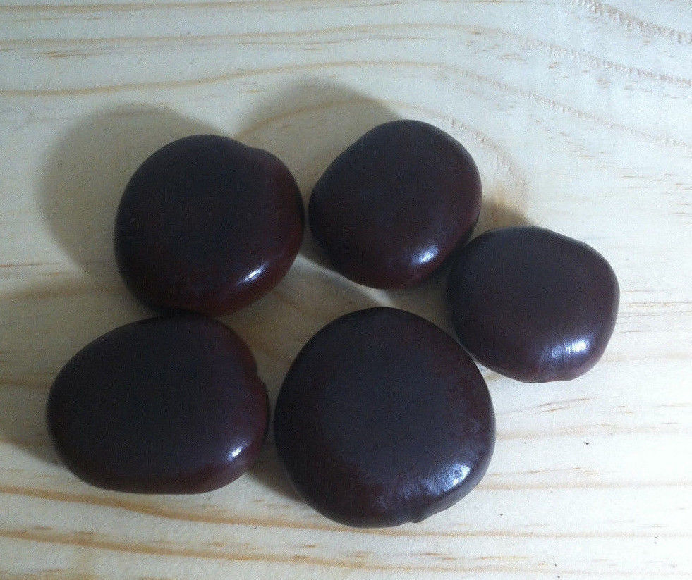 Drilled Entada Rheedii Seeds , Dream Herb Seeds, Sea Bean, ( With Holes )