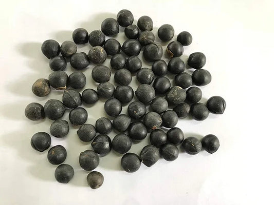 Sapindus mukorossi Seeds, Soapberry  seeds .  ( With Holes )