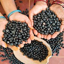 Sapindus trifoliatus seeds, Three leaf soapnut tree Seeds,  ( With Holes  )